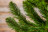 Искусственная ель Вирджиния 200 см зелёная Триумф